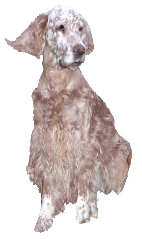 debbie