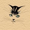 kat6
