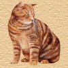 kat2